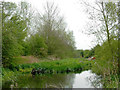 The Hatherton Canal near Calf Heath in Staffordshire