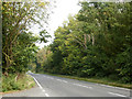 Bury Lodge Lane