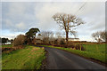 C9533 : Lisconnan Road by Robert Ashby