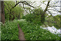 Riparian path beside River Lea (or Lee)