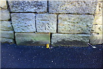 SE0542 : Benchmark on Spring Gardens Lane wall near Cliffe Castle Depot by Roger Templeman