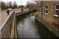 Old River Lea (or Lee), Waltham Abbey