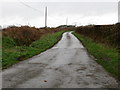 Hedge lined lane between Bethel and Soar