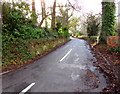 Old Abergavenny Road, Llanover