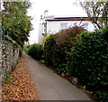 Stonebridge Lane, Marlborough