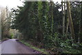 SP1325 : Tree-lined road by Bob Harvey