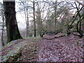 Llwybr  cyhoeddus ger Crachdy Uchaf / Public footpath near Crachdy Uchaf