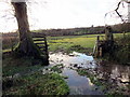 Llwybr Pant Arfon / Pant Arfon Path