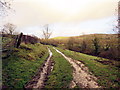 Llwybr Pant Arfon / Pant Arfon Path