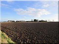 Ploughed Field