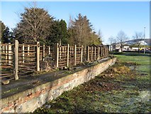 SJ2207 : Old cattle dock by Jonathan Wilkins