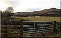 Muckhart farmland