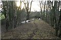 NU1210 : Sheep on the trackbed of the old Alnwick to Cornhill Railway by Russel Wills