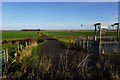 Farm track leading to Biergate Farm