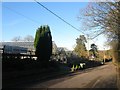 Hillsides Nurseries, Bury Common