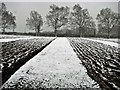 Snow on ploughed furrows, Oaklands Park