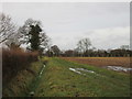 Footpath to Naburn