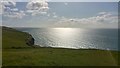 SY9977 : Above Dancing Ledge, Isle of Purbeck, Dorset by Phil Champion