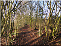 Embankment footpath