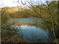 Frozen corner of the mere