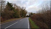 SP4572 : The road near Blue Boar Farm by Peter Mackenzie