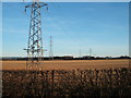 Stubble field and power lines, Rillington