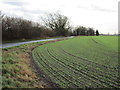 Autumn sown crop and Naburn Lane, Deighton