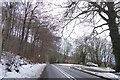 Bus stop and road junction in Rough Park woodland