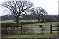 SU4723 : Field gate north of Colden Common by David Martin