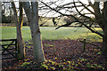 Field near Grove End Farm