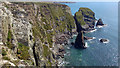 SH2082 : Cliffs at South Stack Cliffs RSPB reserve, Holy Island, Anglesey by Phil Champion