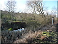 Shallow open water on the former Barnsley Canal