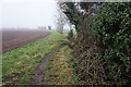 Path of Tetney Lane, Holton le Clay