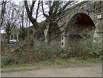 SP3065 : Milverton Viaduct, Leamington by Rudi Winter