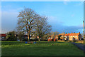 The Village Green, Maunby