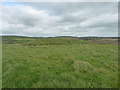 Tumulus above Menachurch Point