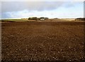 Over  field  toward  Tythe  Top  Farm