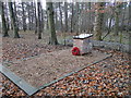 The Polish memorial at Knettishall Heath