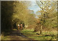 Horse riders in Horton Country Park