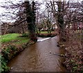 Weir across the Gavenny River, Abergavenny