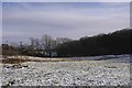 Field, Callow Hill