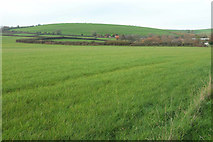 SY5490 : Farmland southwest of Litton Cheney by Derek Harper