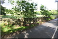 Dry stone wall beside A684 SE of Rigg House