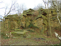 SE2333 : Old stone quarry in Post Hill woods (2) by Stephen Craven