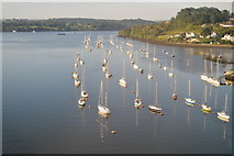 SX4358 : Boats on the River Tamar by N Chadwick