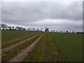 Track from Hill Farm towards Rattlesden