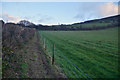 Croyde : Grassy Field & Path