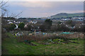 Croyde : Allotments