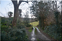 SS4538 : North Devon : Pathdown Lane by Lewis Clarke