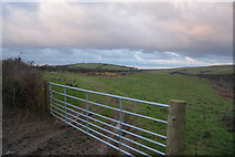 SS4538 : North Devon : Grassy Field by Lewis Clarke